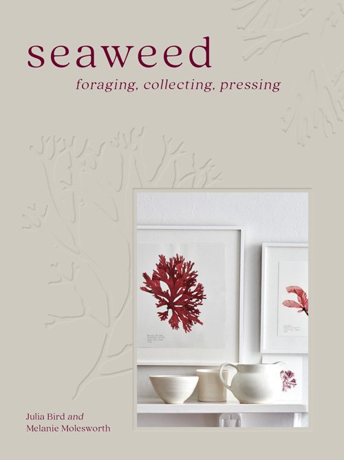 Seaweed: Foraging