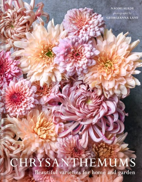 Chrysanthemums: Beautiful Varieties for Home and Garden