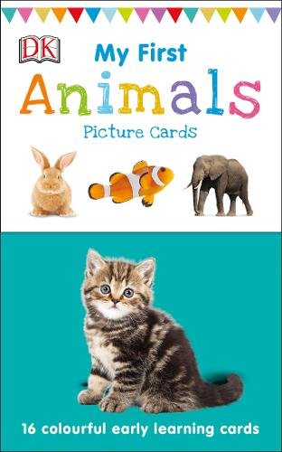 My First Animals: 16 colourful early learning cards