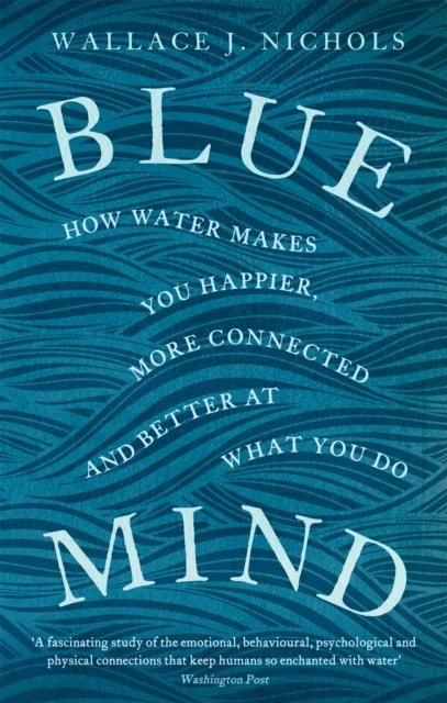 Blue Mind: How Water Makes You Happier