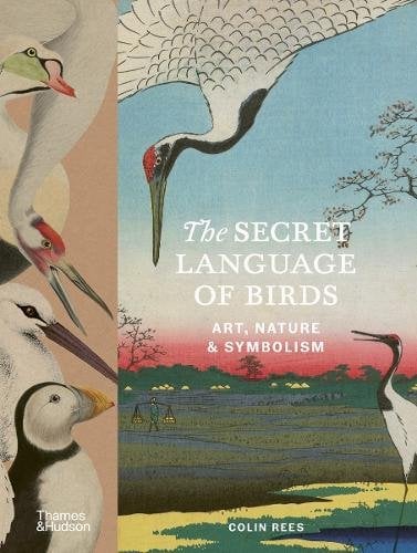 The Secret Language of Birds: Art