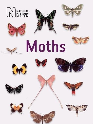 Moths: Their biology