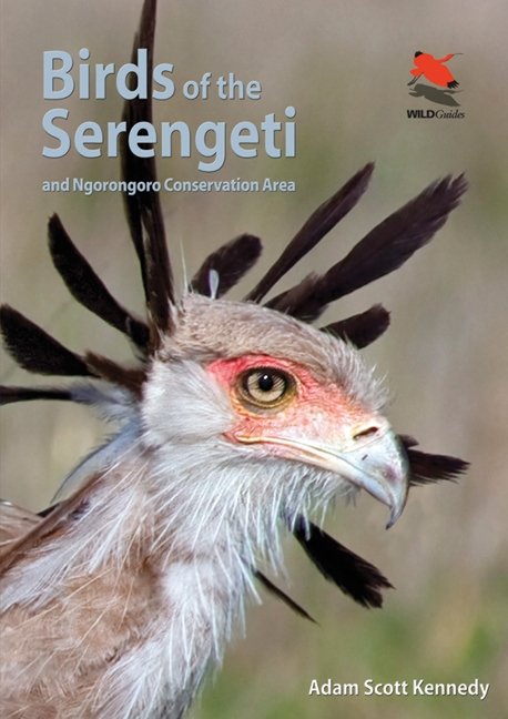 Birds of the Serengeti ‚Äì And Ngorongoro Conservation Area: And Ngorongoro Conservation Area