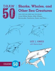 Draw 50 Sharks