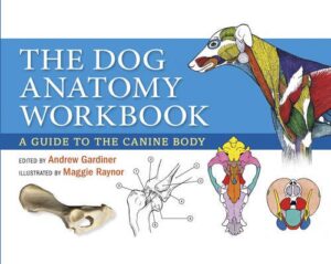 Dog Anatomy Workbook: A Guide to the Canine Body