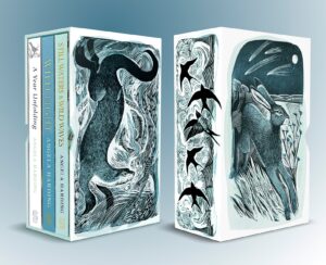 Angela Harding Box Set: A Year Unfolding
