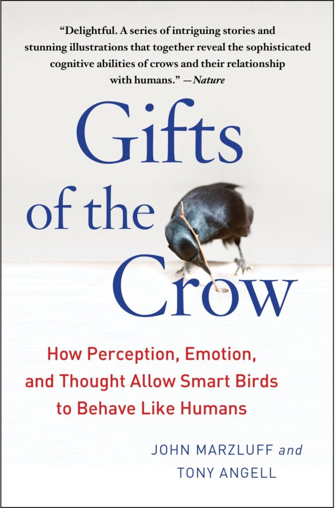Gifts of the Crow: How Perception