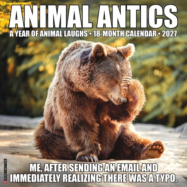 Animal Antics 2027 Wall