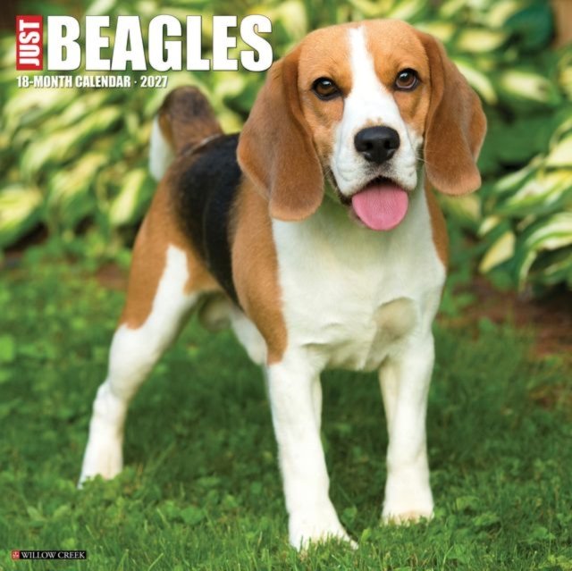 Beagles 2027 Wall