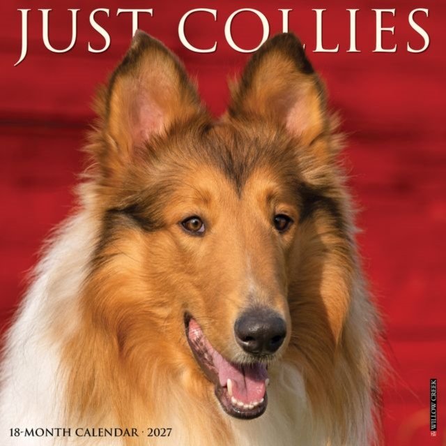 Collies 2027 Wall