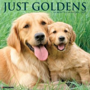 Goldens 2027 Wall