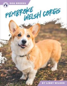 Pembroke Welsh Corgis