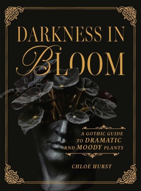 Darkness in Bloom: A Gothic Guide to Dramatic and Moody Plants
