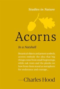 Acorns: In a Nutshell