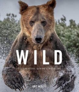 Wild Lives: The World‚Äôs Most Extraordinary Wildlife
