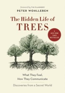 The Hidden Life of Trees: What They Feel