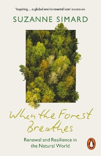 When the Forest Breathes: Renewal and Resilience in the Natural World
