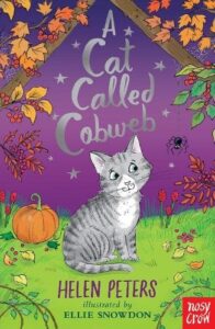 A Cat Called Cobweb
