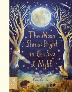 Moon Shines Bright in the Sky at Night: A beautifully illustrated bedtime story filled with comfort