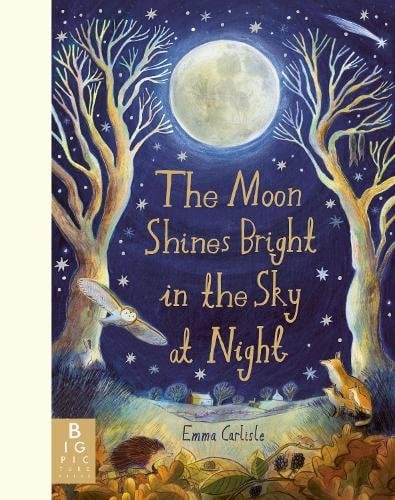 Moon Shines Bright in the Sky at Night: A beautifully illustrated bedtime story filled with comfort