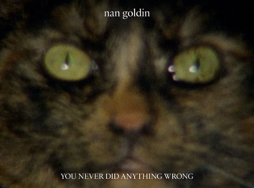 Nan Goldin: You Never Did Anything Wrong