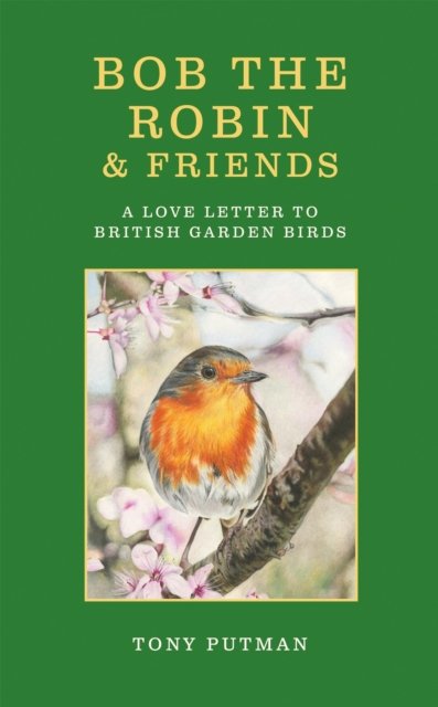 Bob the Robin & Friends: A Love Letter to British Garden Birds