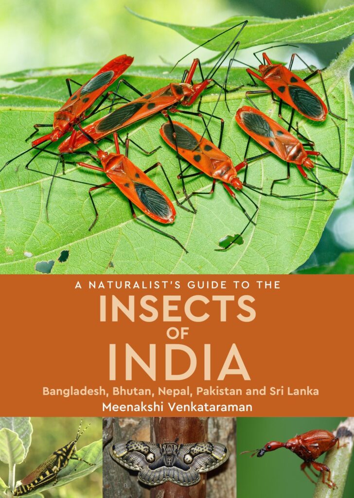A Naturalist‚Äôs Guide to the Insects of India