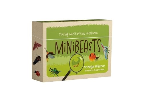 Minibeasts: The big world of tiny creatures