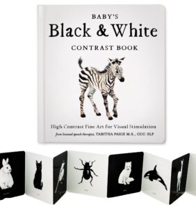 Baby's Black and White Contrast Book: High-Contrast Art for Visual Stimulation at Tummy Time