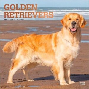 Golden Retrievers 2027 Square Flap FOIL